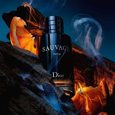 sauvage dior fragrances|Dior Sauvage cheapest.